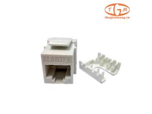 Ổ cắm mạng Alantek Cat6 (302-2QX618-WHAB)