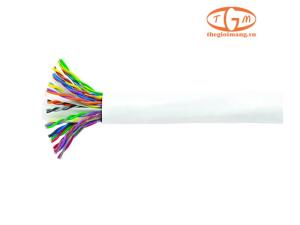 Cáp mạng CommScope U/UTP Cat5e 25-pair (1499418-1)