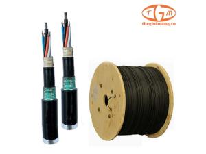 Cáp quang LS Multimode OM3 24-core Armor (LT-DJBGSEX/BRN MX24XX(06T2.00))
