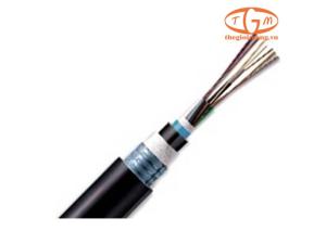Cáp quang LS Multimode OM3 8-core Armor (LT-DJBGSEX/BRN MX8XXX(06T2.00))